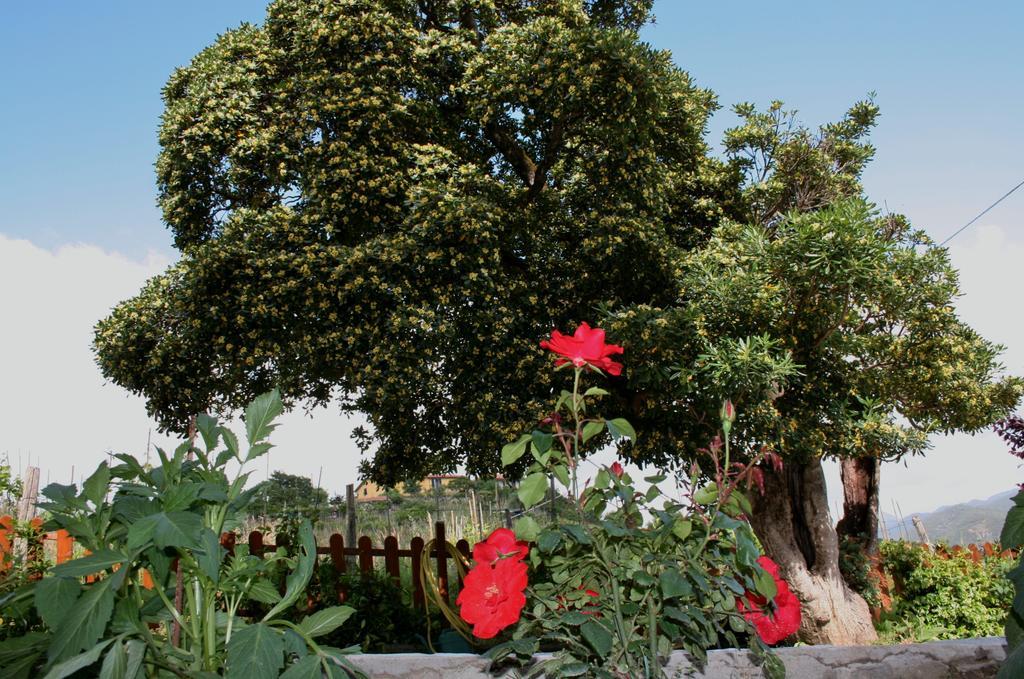 Ca De Pria Bed & Breakfast Casarza Ligure Ngoại thất bức ảnh