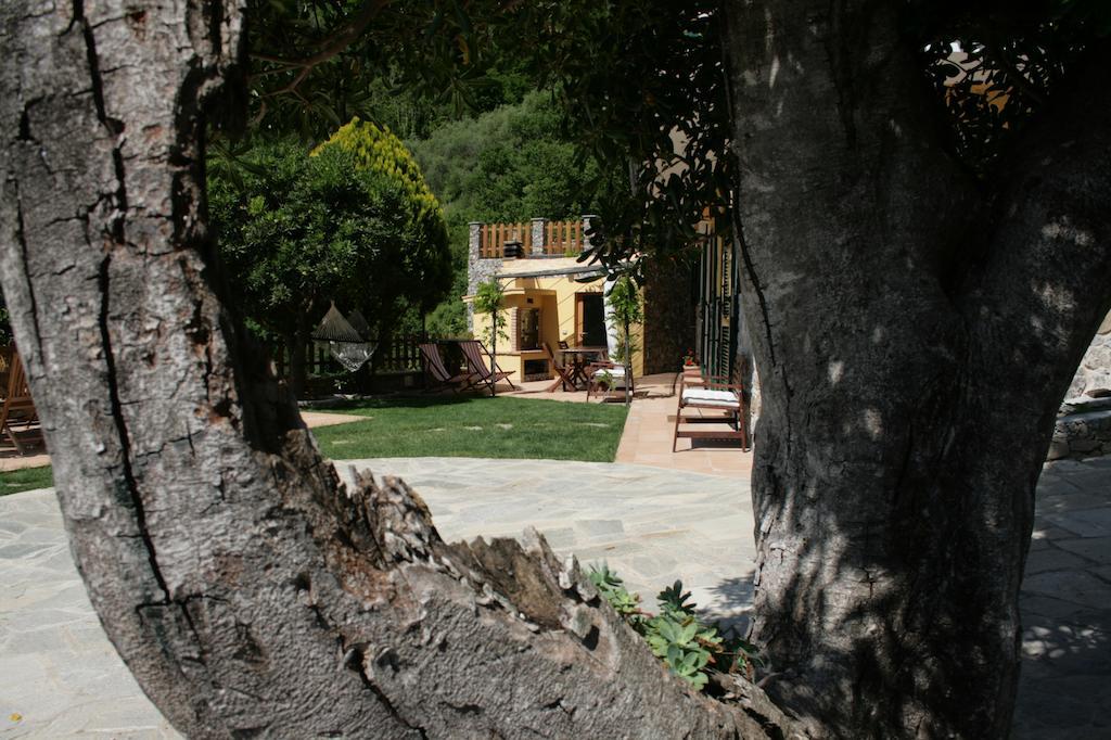 Ca De Pria Bed & Breakfast Casarza Ligure Ngoại thất bức ảnh
